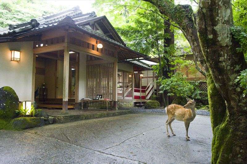 会場