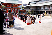 兵庫・生田神社の結婚式